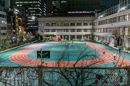 这队彻底起飞了