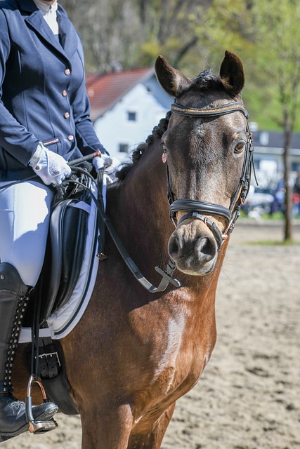 廖三宁以 廖三宁以