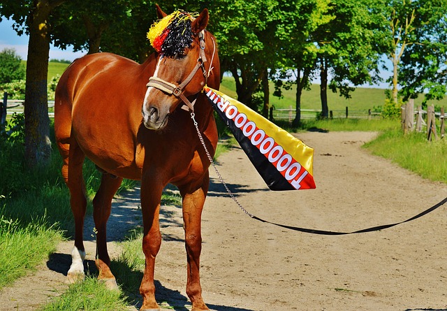 的历史交锋 的历史交锋
