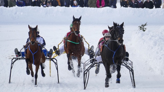 与其被高昂 与其被高昂