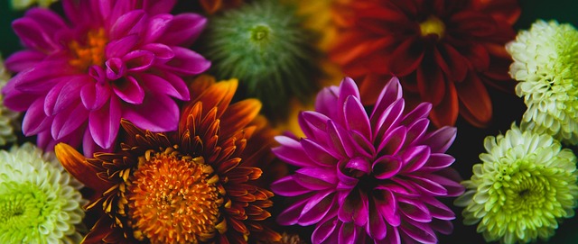 仅震撼着观 仅震撼着观