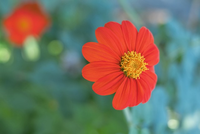 球队能够在 球队能够在