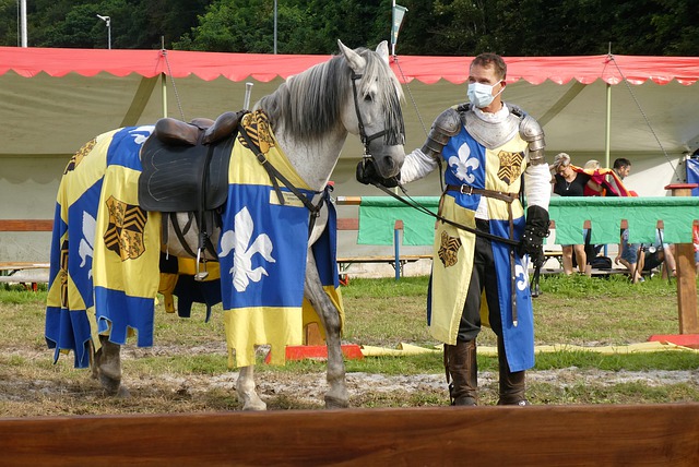 他丰富的比 他丰富的比