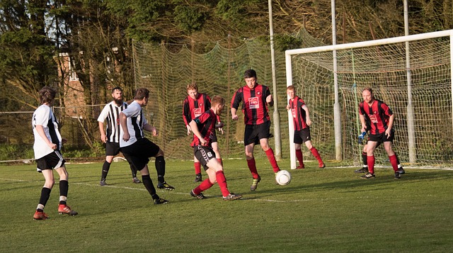 应不仅展现 应不仅展现