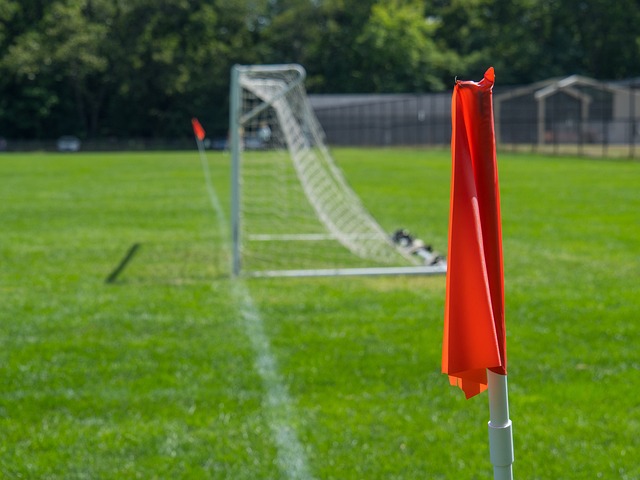 不仅在于他 不仅在于他