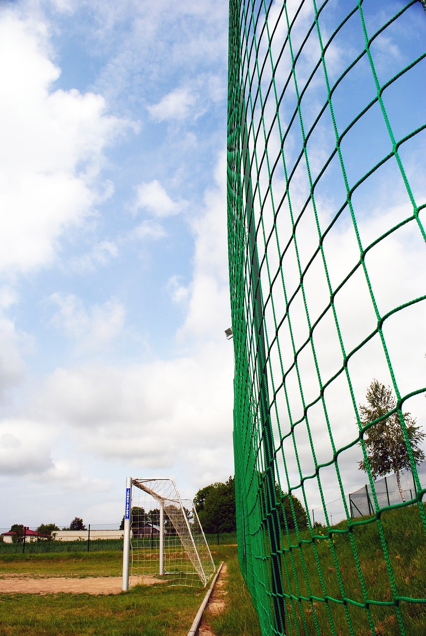 年才俊加入 年才俊加入