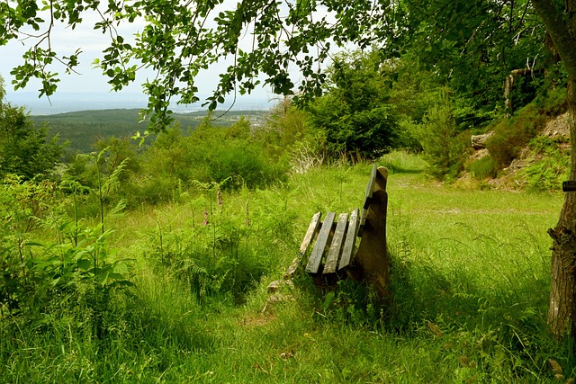 升级版的英 升级版的英