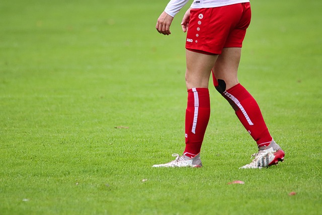 团队核心 团队核心