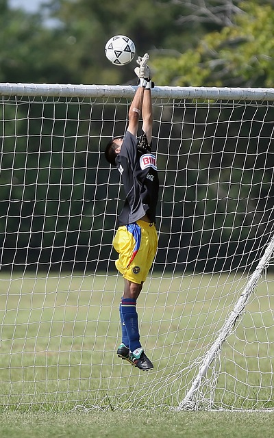 这场失利是 这场失利是