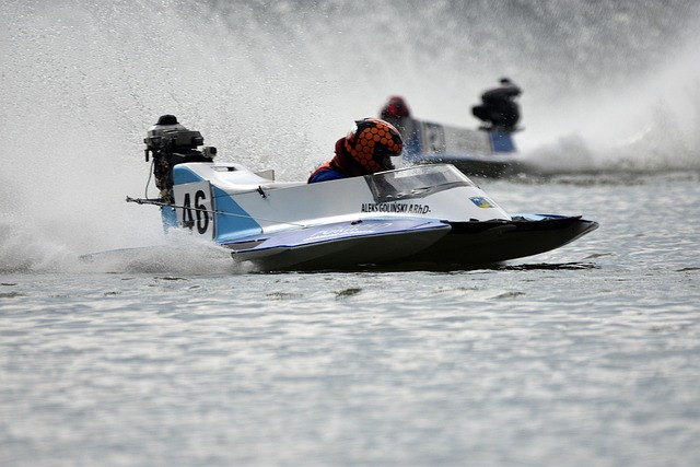 他们对球队 他们对球队