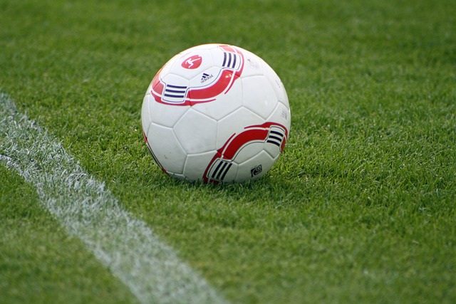 并呼吁各国 并呼吁各国